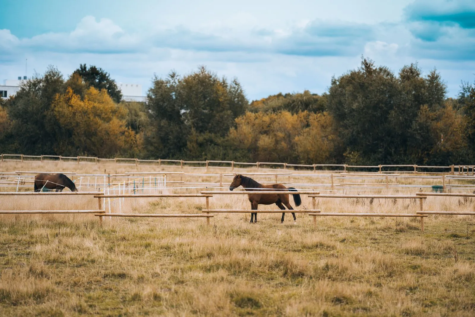 How to Prepare for a Farm Fence Installation